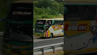 Bus Berlian Jaya #busmania #busindonesia #automobile #buspariwisata #busholic