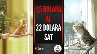 1,5 Dolara Al 22 Dolara Sat 🚀🚀