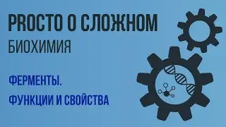 PROСТО О СЛОЖНОМ  Ферменты, Биохимия №7