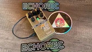 Catalinbread Echorec unboxing & ambient sound demo ( no talking )
