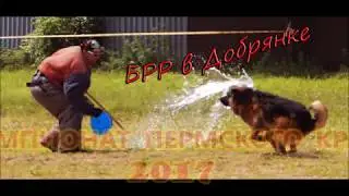 БРР в Добрянке 2017