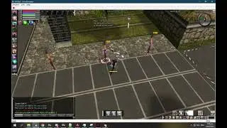 Ran - Item Skill Link