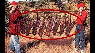 中国山东一生物一夜之间大面积消失 俄罗斯知道真相后说不出话