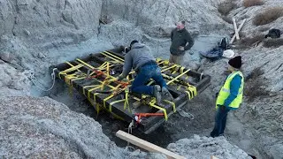 Tyrannosaur Airlift