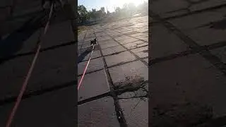 16 мая 2021 г.