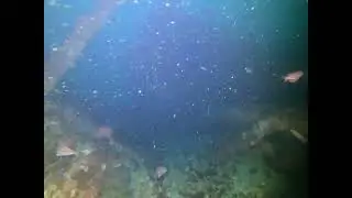 Jump entrance in the water, Gibraltar deep wreck dive