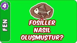 Fosiller Nasıl Oluşmuştur? | 4. Sınıf Fen evokul Kampı