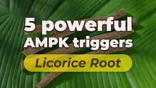 Discover how Gluco24 could tackle blood sugar with ancient wisdom | Nation Health MD
