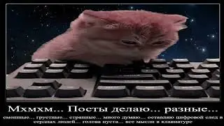 Любой Админ мем паблика