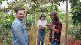 TRẢI NGHIỆM NHỮNG KHU VƯỜN VÀ TRANG TRẠI BÒ SỮA LỚN NHẤT VIỆT NAM CÙNG XE ĐẦU KÉO VLOG