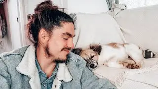 ADOTTO UN CANE ABBANDONATO / **VANLIFE**