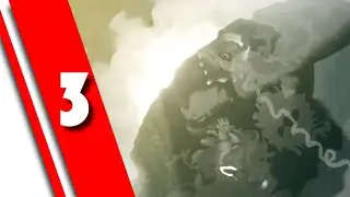 From The Ashes
