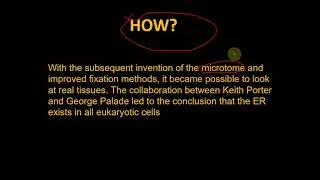 Discovery of endloplasmic reticulum by Garnier, Porter, Claude, Fullam.