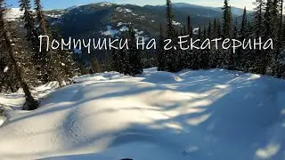 Делай это упражнение 2 раза в день и спина болеть не будет =)