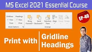MS Excel 2016,2019,2021 Professional Course Sheet Option and Arrange Part 40