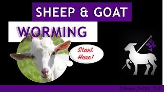 Sheep and Goat Worming:  A Comprehensive Guide for Beginners