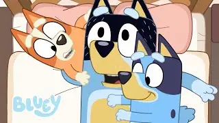 Stagione 1 e 2 Episodi Completi 💙 📺 | 1 HORA+ | Bluey Italiano Canale Ufficiale 💙 🇮🇹
