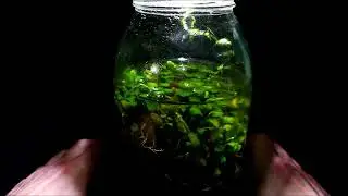 530. 377 dni dookoła ....