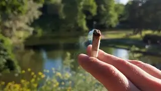 ПОДМОЙСЯ! УХОД ЗА ПыСЬКОЙ, мои средства гигиены #приколы #уход
