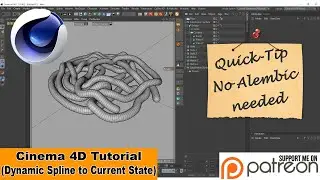 DYNAMIC SPLINE TO CURRENT STATE (Cinema 4D Quick Tip)