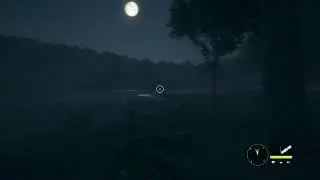 The hunter call of the wild:обзор,прохождение;кватро коллинас новый заказник