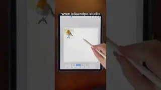 Private photos that won't show up in a time lapse using Procreate!
