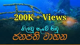 The Bullet Proof VIP Car Wreck|ගිල්වූ නැවේ තිබු ජනපති වාහන|@DilanSenanayake|@DinelkaMuthuarachchi​