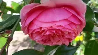 29 сентября - ,,Я так хочу , чтобы лето не кончалось ''  !!!