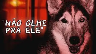 Quem é Smile Dog?