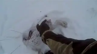 Охота на зайца с друзьями 3  2020