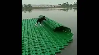 Rolling out the floating rice fields