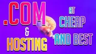 How To Buy Domain Name & Web Hosting At Cheap Rate
