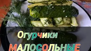 ОГУРЦЫ МАЛОСОЛЬНЫЕ в пакете/Вкусные хрустящие малосольные огурчики #огурцы  #shorts #cucumbers
