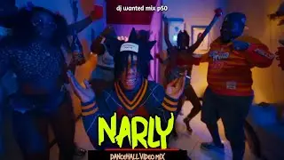 Dancehall Video Mix 2024|NARLY-Kraff,Skeng,Nigy Boy,Skippa,Squash,Chronic Law,Rajahwild,Valiant