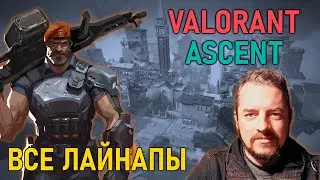 ВСЕ Лайнапы Бримстоуна на карте АСКЕНТ в 