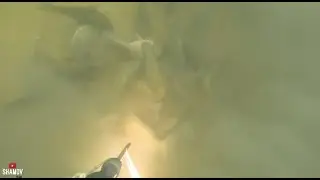 Подводная охота! Осенний прозрак и много рыбы.