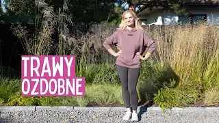 Trawy ozdobne w jesiennym ogrodzie – odkryj ich piękno i ruch na nowej rabacie frontowej