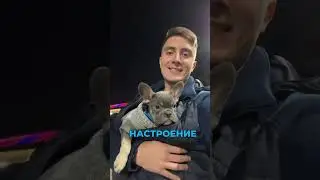 НЕ ПЬЮ ВТОРОЙ ГОД / ЧТО ИЗМЕНИЛОСЬ? АЛКОГОЛЬ УЖЕ НЕ В МОДЕ? #зож #алкоголь #трезвый