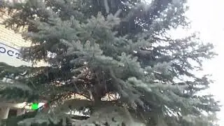 Снегопад в Нижнем Новгороде 3 мая 2024 года