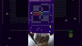 #brickbreaker chipi chipi chapa chapa #cat #cute #chipichipi #shorts #reverse #наоборот #мем