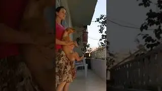 Танцы на турецком балконе 😅