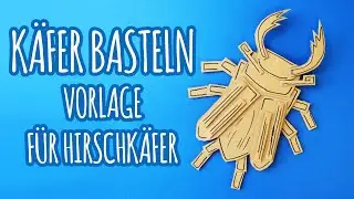 Käfer basteln | Einfache DIY Anleitung mit Vorlage