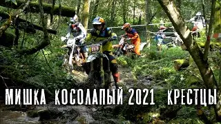 Мишка Косолапый 2021