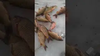 Расклевалось, но не у всех