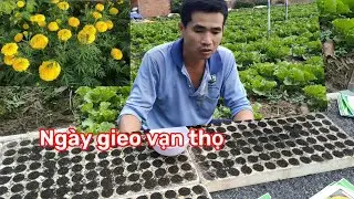 Ngày gieo vạn thọ đúng Tết(Phước Thêm)
