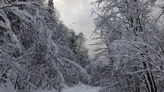 С новым годом!