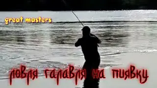 ловля голавля на пиявку
