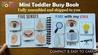 Five senses Toddler mini busy book, Travel size activity, VOL 3