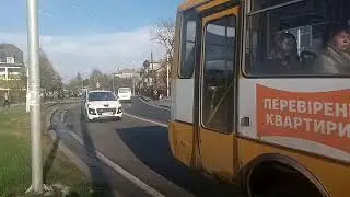 V81029 1356141