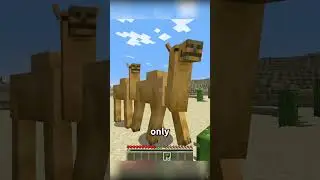 Facts About Camel in Minecraft 